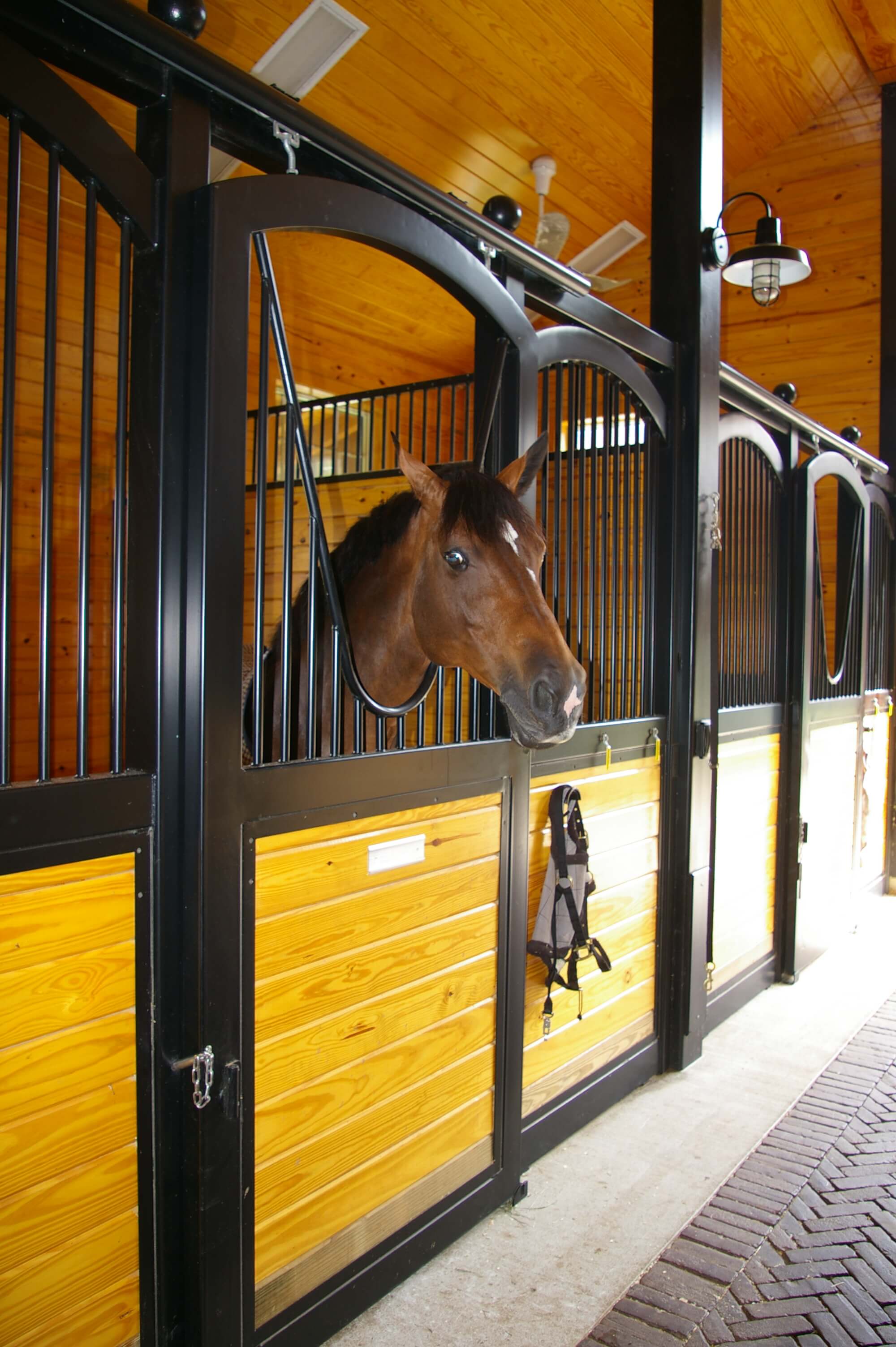 Horse in a Custom Stable Stall by Old Town Barns