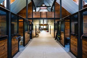 A look through the interior of the custom built horse stable