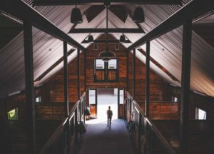 Metal Roof and wood wall interior of a custom horse stable